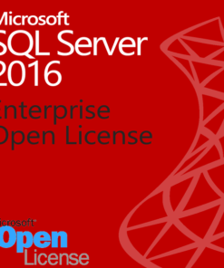 SQL Server 2016 Enterprise 50 Users - License