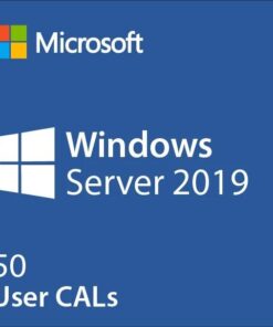 windows server 2019 50 user cals
